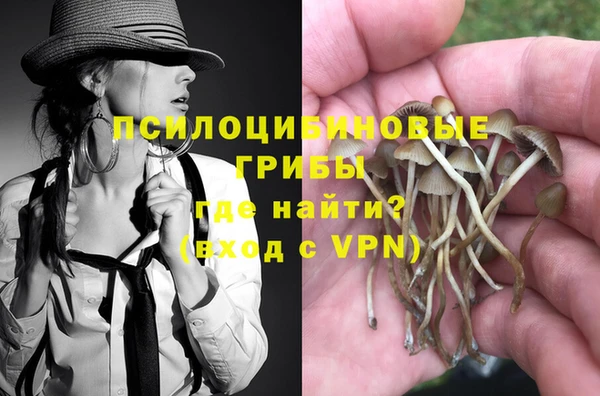 прущий лед Алексеевка