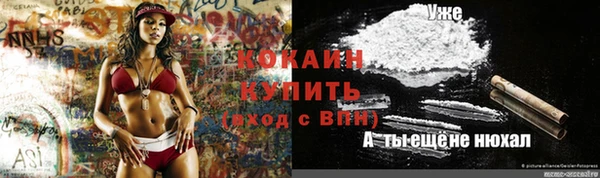 прущий лед Алексеевка